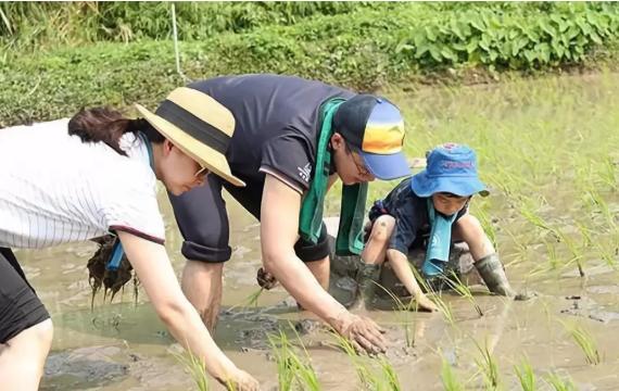 你和孩子，谁的衣服更贵？这件不起眼的小事，能看到孩子的未来