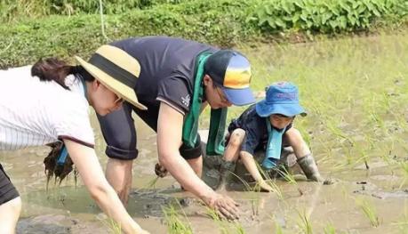 『超级宝妈』想要男孩未来阳光有担当?李玫瑾:12岁前父母要坚持这4个原则