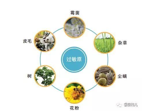 『超级宝妈』廊坊睿康医院：过敏性疾病也能“3岁看小，7岁看老”