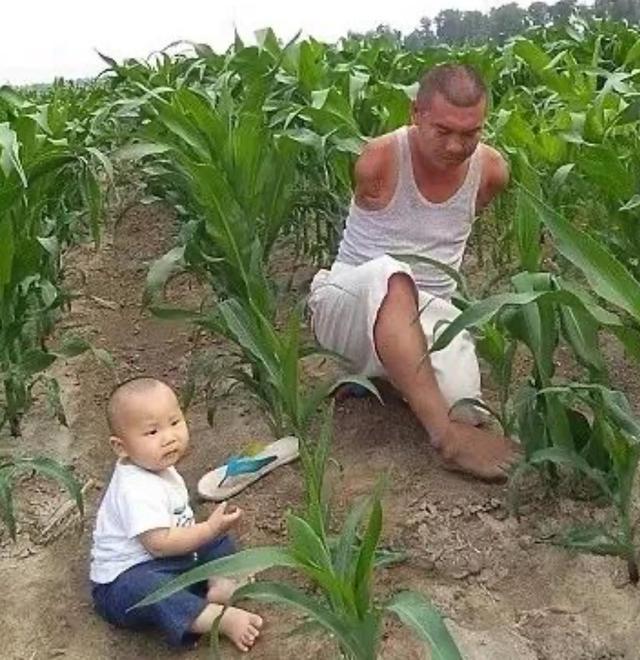老鹰捉小鸡|满月宝宝患重症，亲友劝放弃，爸爸：“再生一个就不是他了”