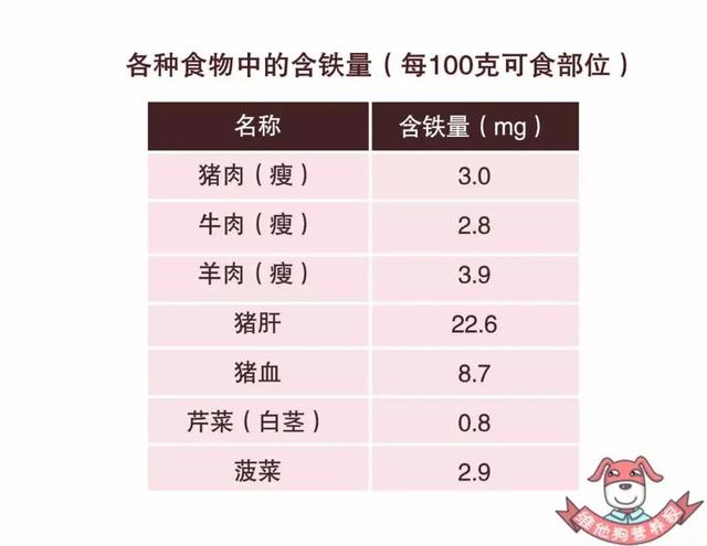 贫血要补铁，如何补铁效果好？这波科普你一定要收下