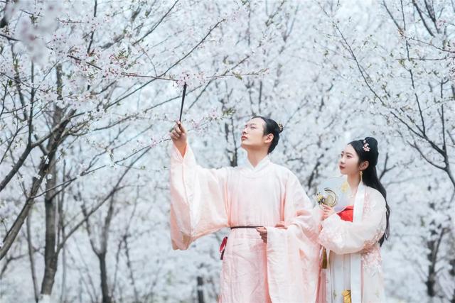 「趣旅游」趁樱色,入画来!