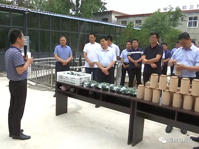 襄城县委书记宁伯伟带队集中观摩产业扶贫和村级集体