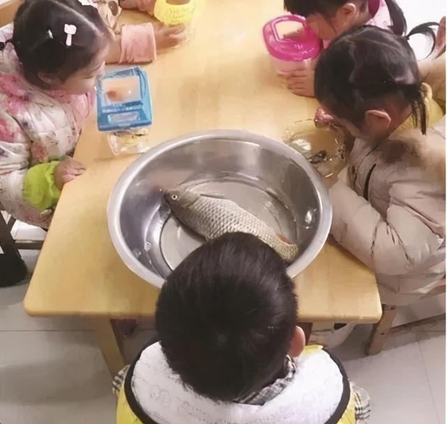 幼儿园老师首次让萌娃带物品，孩子传错话，老师：这都是什么