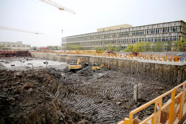 公司|这个“助理”，让嘉定这些村的分红又多了