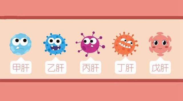 接种|乙肝丙肝不经呼吸道消化道传播 接种疫苗是预防病毒性肝炎的有效措施