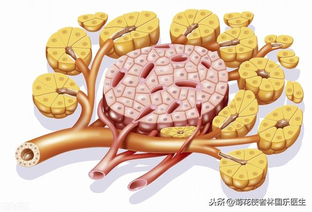 揭秘常见食物中的一级致癌物，长期食用会导致细胞癌变，尽量少吃