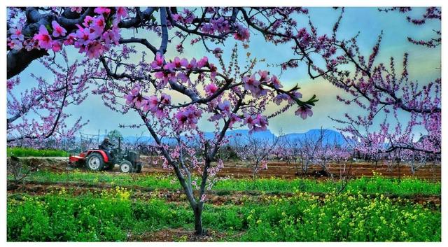 浮生忘流年:在这里,遇见最美的邢台