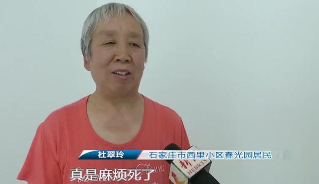 装修|装修一半要涨价，老两口妥协又遇闹心事，装修公司态度豪横