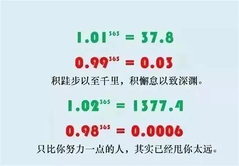 每天学一点东西