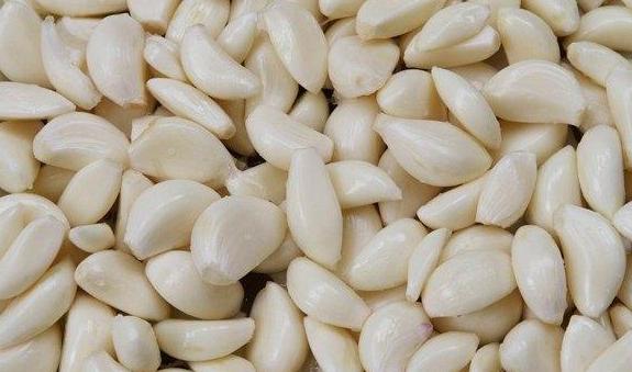 大蒜养花，防腐、防虫还能促发芽，好处多不胜举