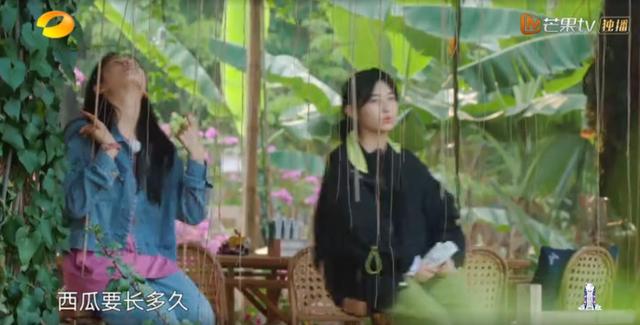 《向往的生活》张子枫笑起来好甜，说了一句让人心里暖暖的话fun娱乐