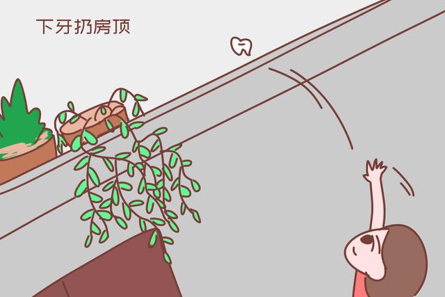 有趣的爱|“上牙扔土里，下牙扔房顶”孩子掉牙的规矩很科学，不是迷信