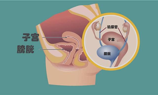 超级宝妈|孕期需要多喝水，可尿频让人受不了，补水与尿频矛盾怎么调和？