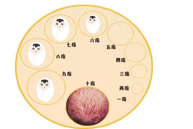 超级宝妈|顺产过程中，胎儿只在“被动”承受？胎儿经历的这些，让人感动