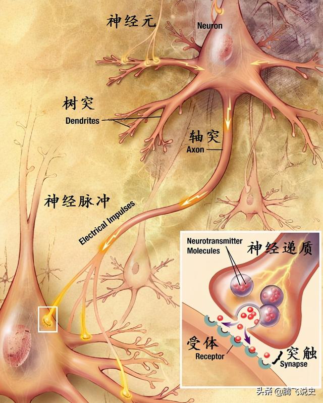 无人机大战，炸死了人，谁赔偿？人类是一个载体，智人即将消亡？