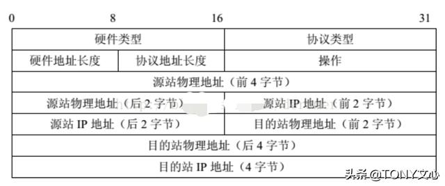 ARP协议及ARP中间人攻击(TCP/IP协议)