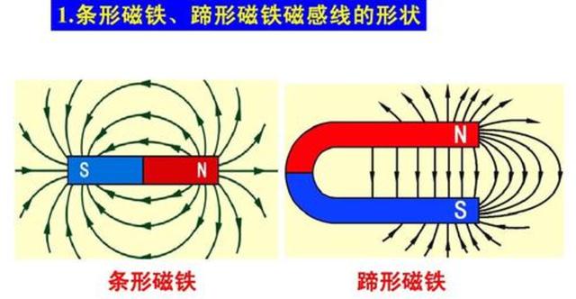 淘米水浇花味大、易招虫？不如就用这&quot;磁化水&quot;，可在家制