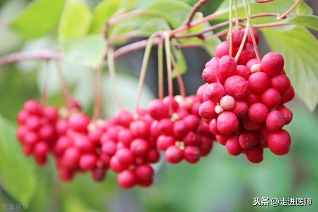 34岁确诊尿毒症，从心如死灰到能正常工作，李女士总算得偿所愿