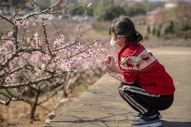 「旅行柚子君」“天下第一桃园”惊艳回归,在桃花盛开的地方遇见泼墨人家