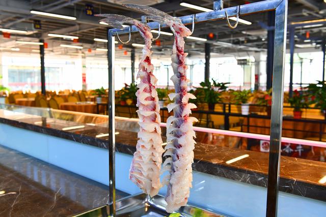 人均50元任吃，在中山同乐大街吃到正宗顺德美食，顺德人都爱吃