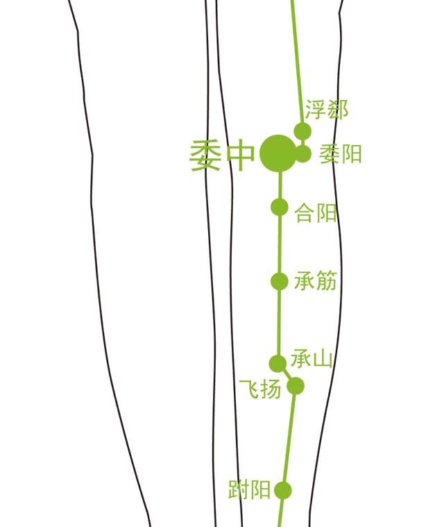 腰痛别大意，小心是腰椎间盘突出