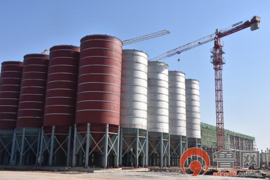 国光|成武县大田集镇：抓项目建设开局，奋力夺取首季“开门红”