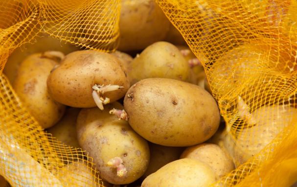 肝病越来越多？医生：3种蔬菜或"悄悄"损伤肝脏，劝你尽量少吃