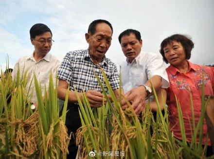 转发致敬送别袁隆平爷爷一路走好