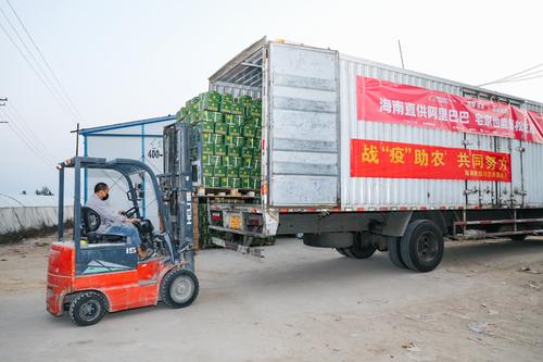【光明网】阿里巴巴重拳出击：帮助中小企业和农民度难关