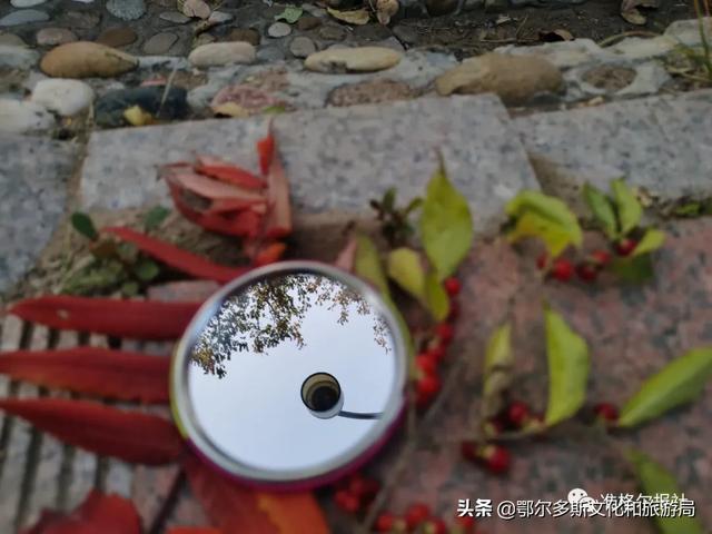 敬中秋，与准格尔旗的一次奇妙相遇