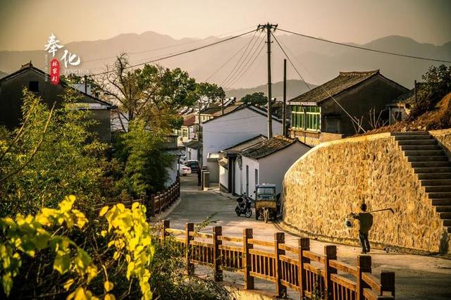 「旅行柚子君」“天下第一桃园”惊艳回归,在桃花盛开的地方遇见泼墨人家