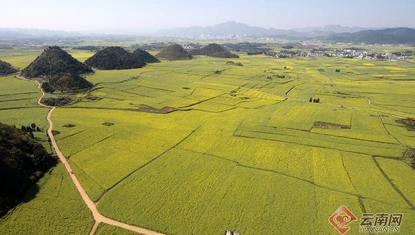世界那么大▲云南罗平：创新村庄规划土地整合模式