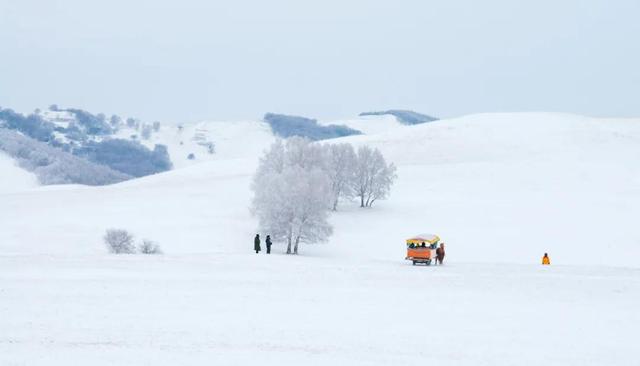 大雪后阴气最重的15天，喝一碗粥，帮助孩子护肾阳、暖心阳