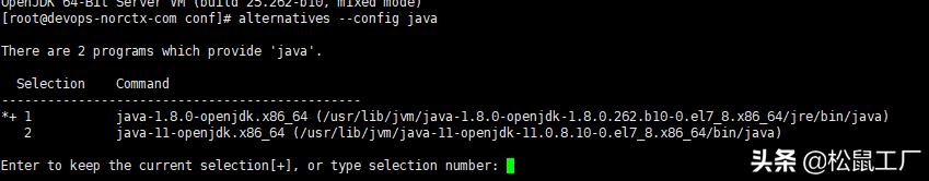 CentOS 7 安装 JDK 11