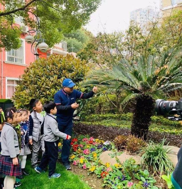 春天到，荷花池幼儿园小朋友为地球充“植”啦