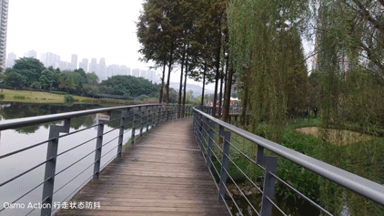 单评 | Insta360 影石ONE X2