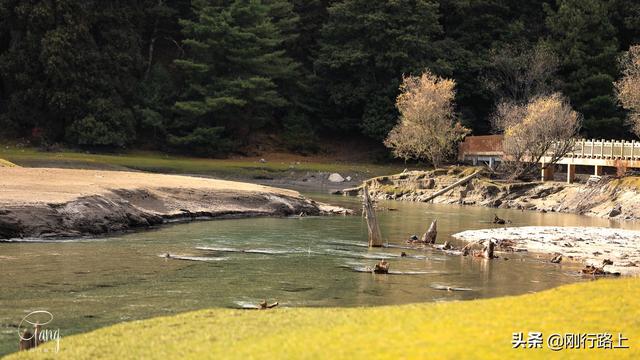 「旅行柚子君」镶嵌在高山森林之中的绿色宝石,这就是草湖
