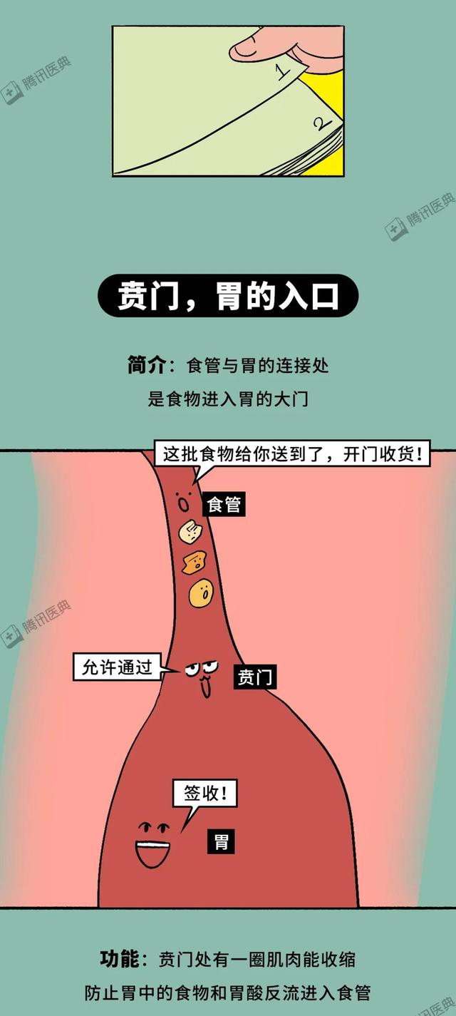 一吃主食就胀气，没吃几口就打嗝，这是胃在向你抗议！