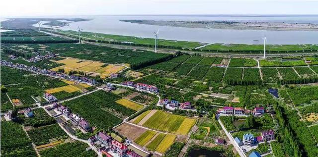 项目|今年崇明排定100个重大生态项目，半数已开工