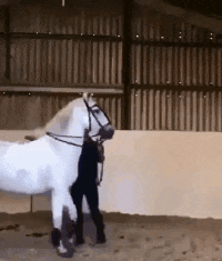 搞笑gif开心一刻:妹子喜欢看电视