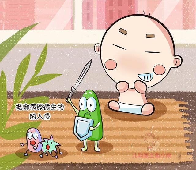 【你的育儿经】益生菌不可滥用！如何正确给宝宝服用益生菌，何时补充益生菌？