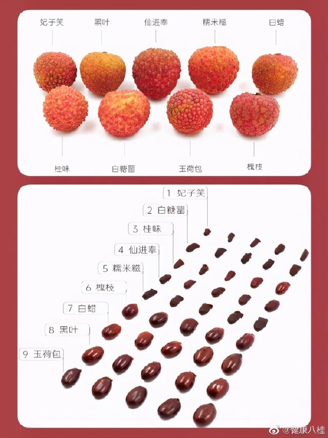 荔枝|你能分辨出荔枝的种类吗？最喜欢的是哪一种？