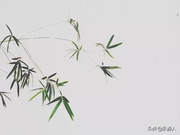 [行路万里]学会这些手机摄影技巧，手机也能拍出单反的效果！