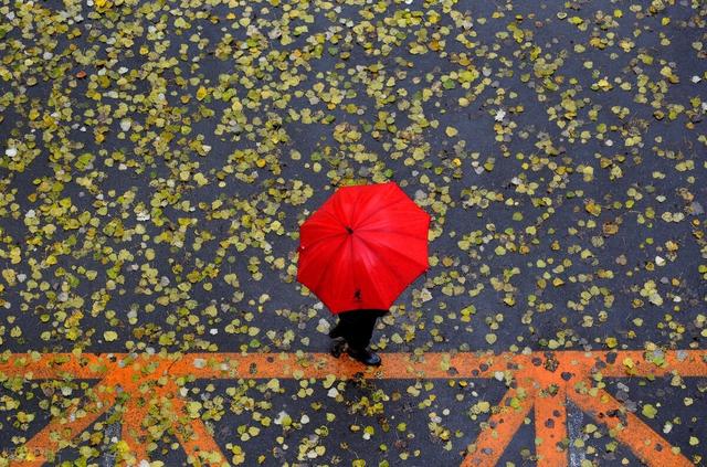 冬雨绵绵，思念深深