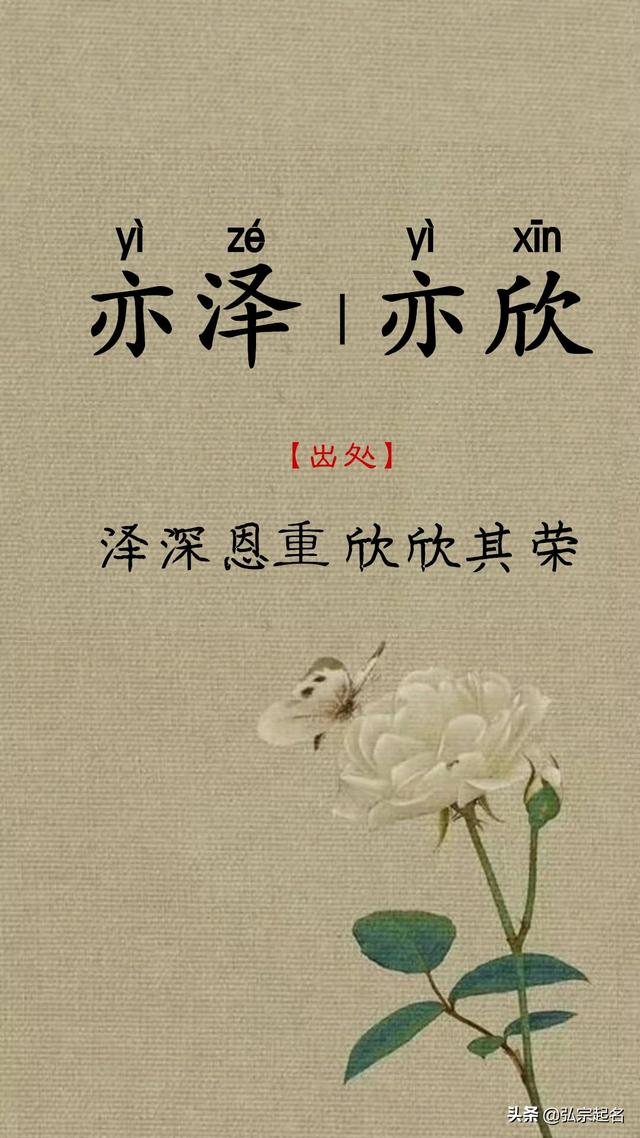 「超级宝妈」一儿一女起通用鼠宝宝名字