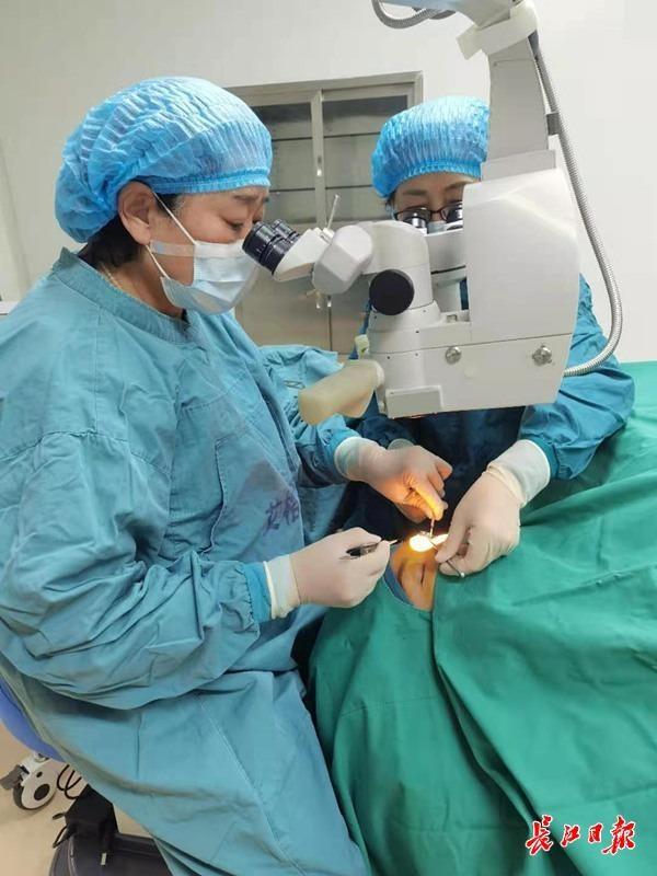 手术|一头牛引发的23年斜视今朝“改邪归正”