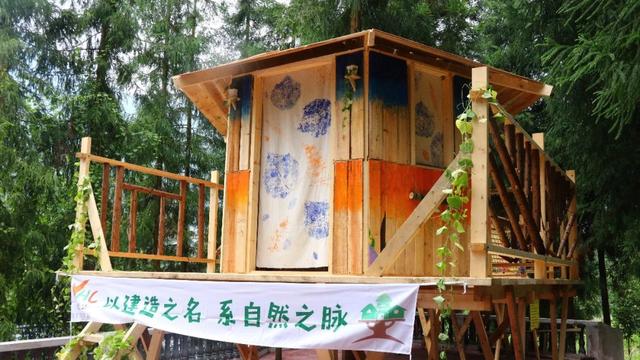 你的育儿经|2020夏令营丨造房子/探秘熊猫/昆虫科考/水中急救……最强小孩养成，一个夏天就够了