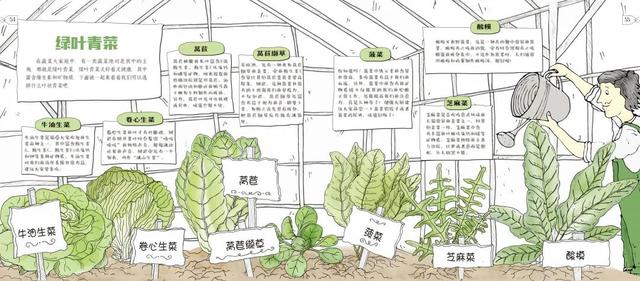 幸福之家|“儿童零食标准”发布实施