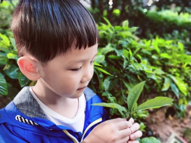 佛手|当孩子遇到佛手，会一场怎样的深秋邂逅？既是非同寻常的中医体验，更是传承着中华文化